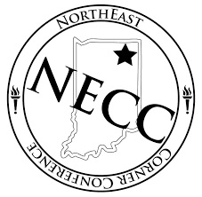 NECC Names All Conference boys basketball team